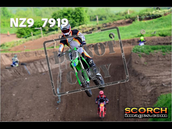 IntersGreenOrange-120