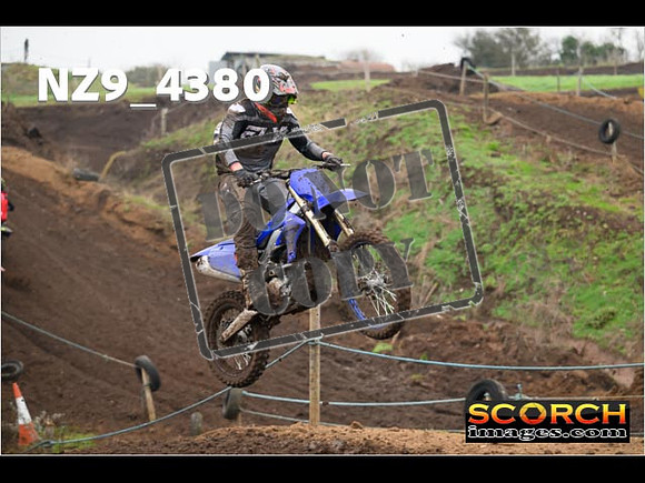 Experts-226