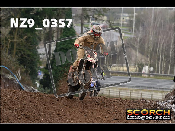 IntersGreenOrange-071
