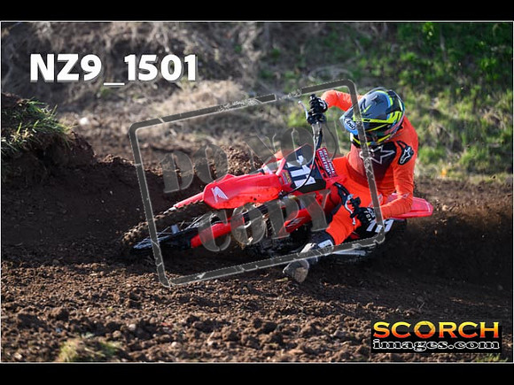 Experts-045