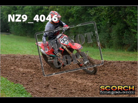 Experts-120