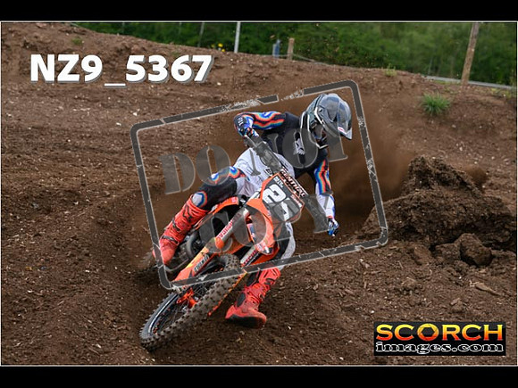 Experts-143