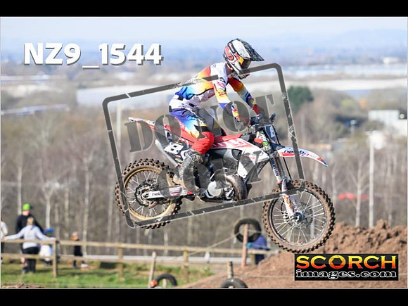 Experts-087