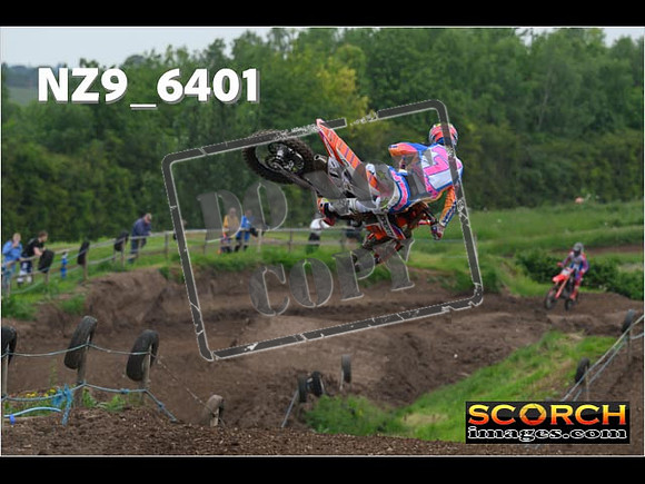 Experts-213
