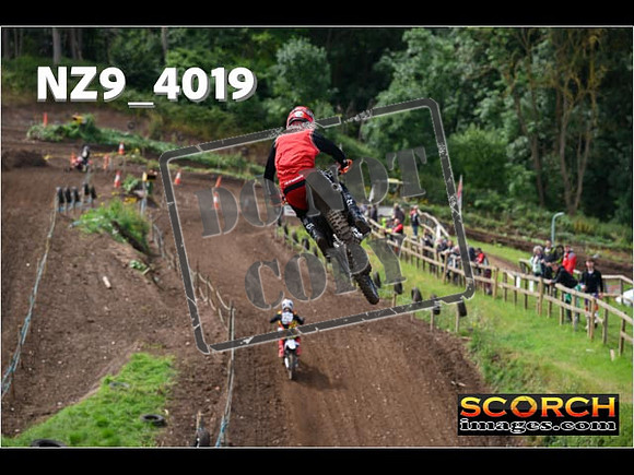 Experts-126