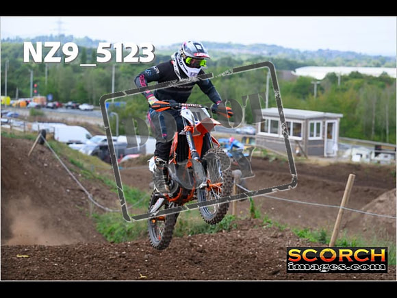 InterGreenOrange-245
