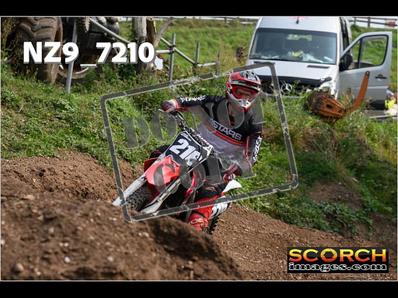Inters Green-205