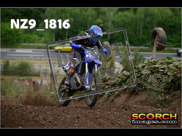 IntersGreenOrange-069