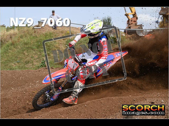 Experts-456