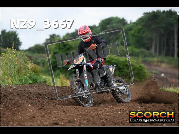 Experts-075