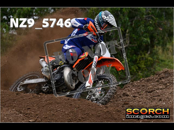 Experts-216