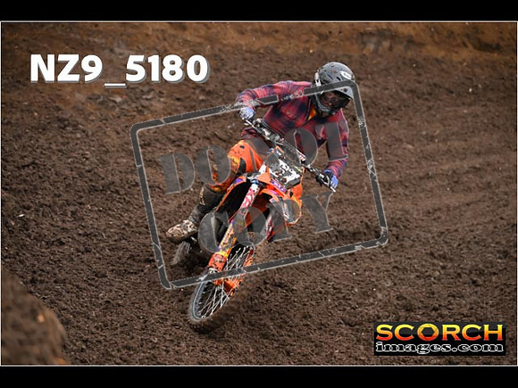 Experts-045