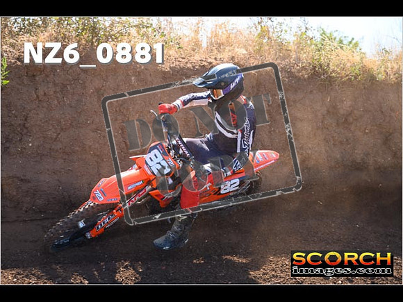 Experts-041