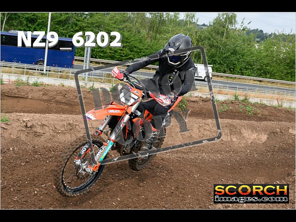 Experts-115