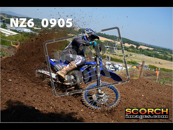 Experts-065