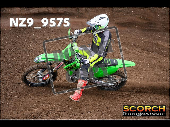 Experts-031