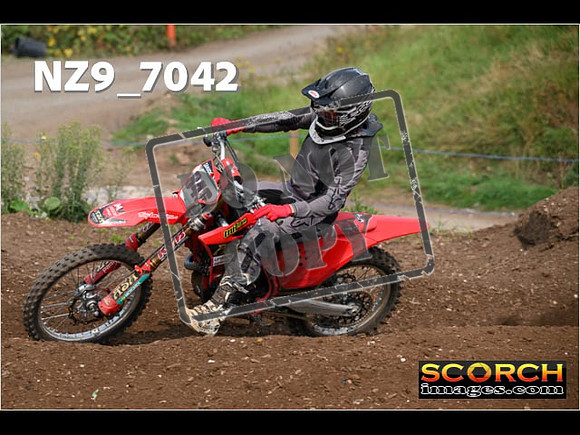 Experts-438