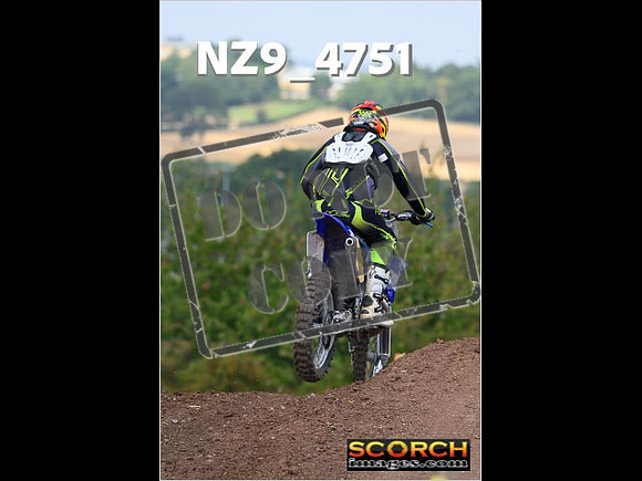 Experts-133