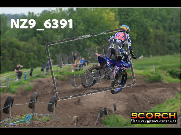 Experts-204