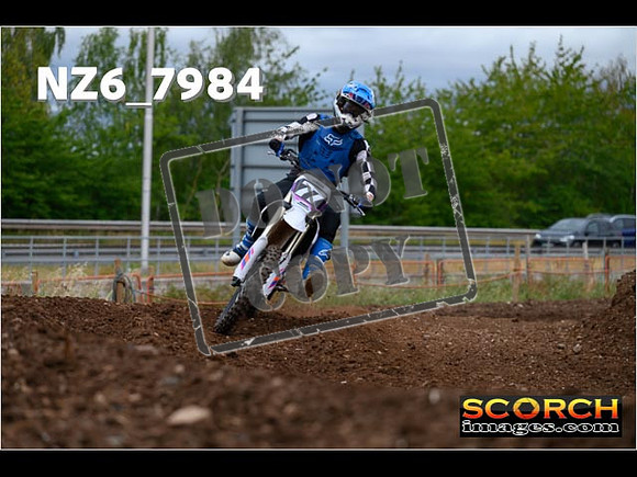 Experts-173