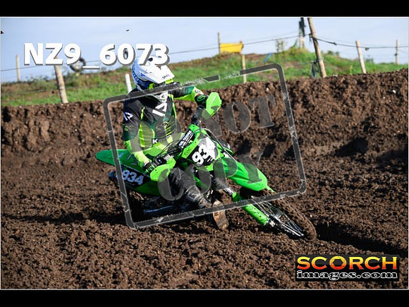 Experts-116
