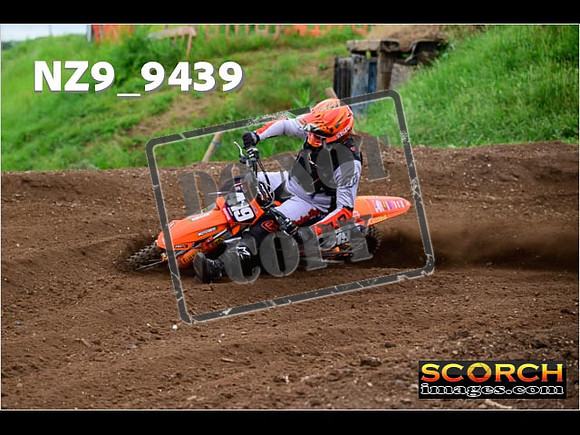 Experts-042
