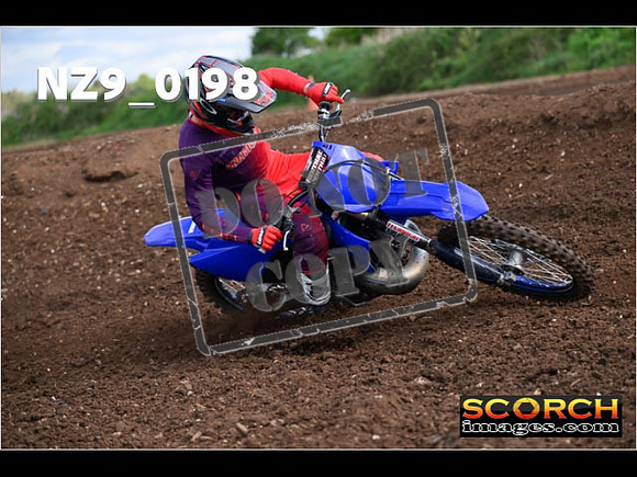 Experts-135