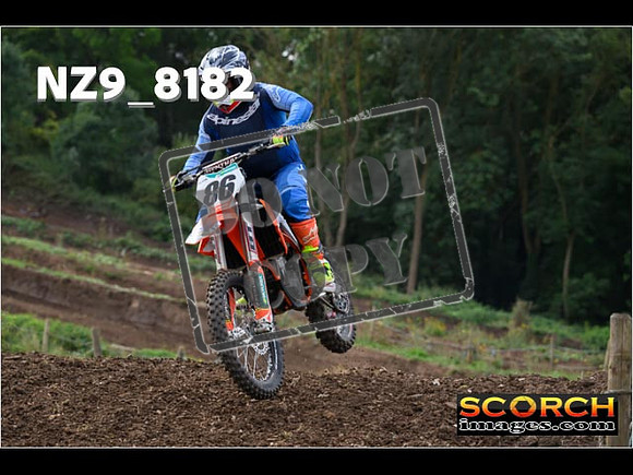 Experts-119