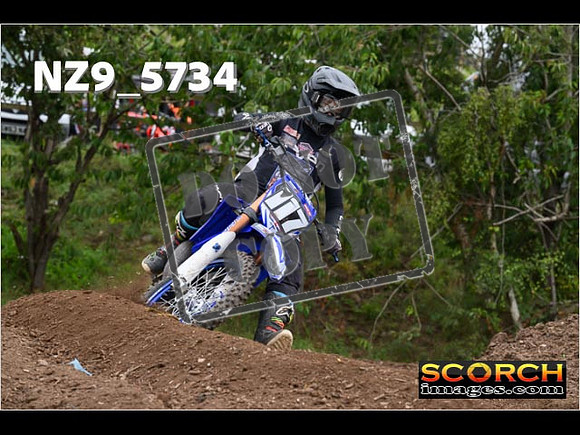Experts-204