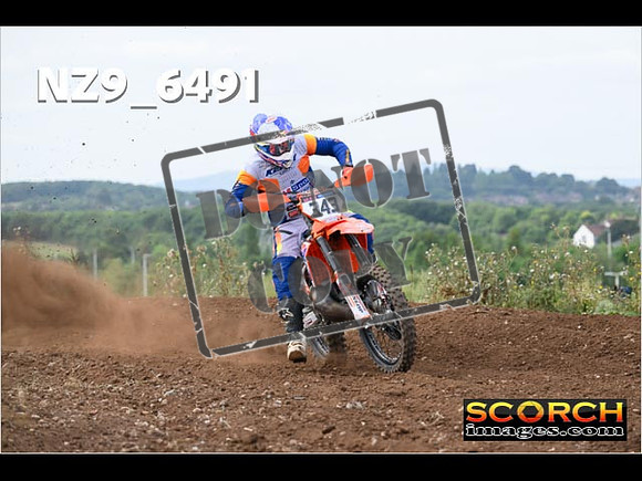 Experts-204