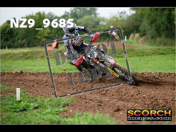 Experts-117