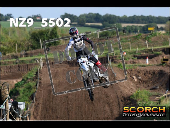 Experts-034