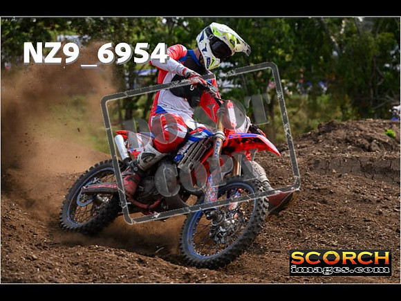 Experts-352