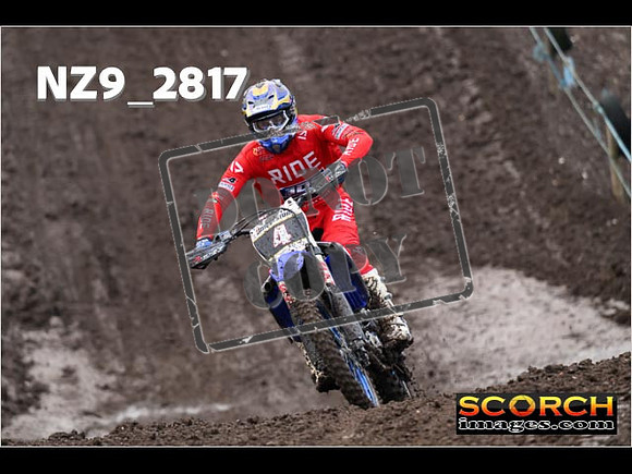 Experts-041