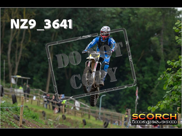 Experts-051