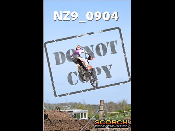 Experts-079
