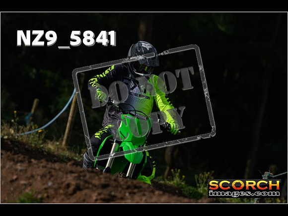 IntersGreen-031