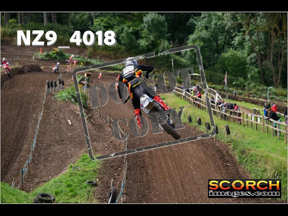 Experts-125