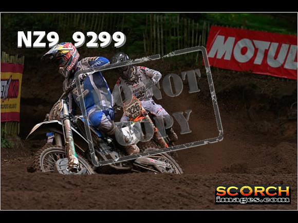 MX1-246