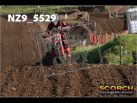 Experts-060
