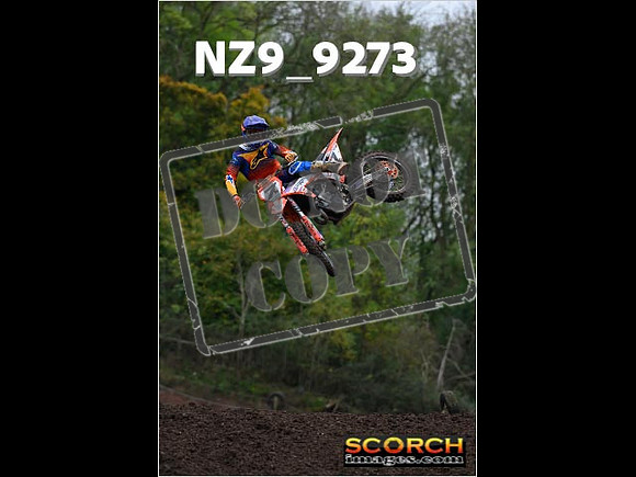 Experts-075