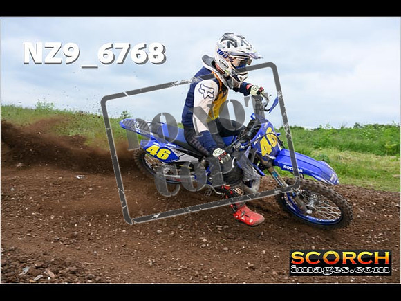 Experts-369