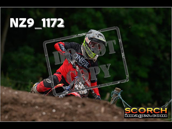 Experts-121