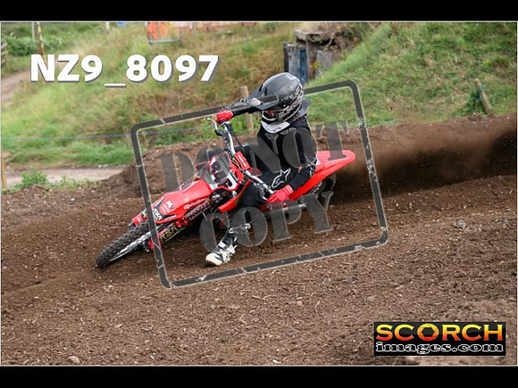 Experts-038