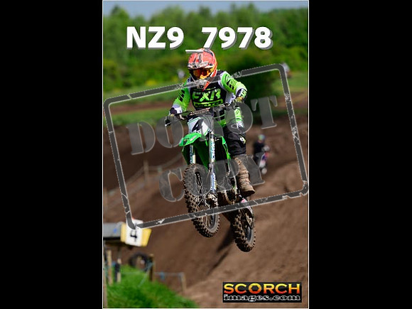 IntersGreenOrange-178