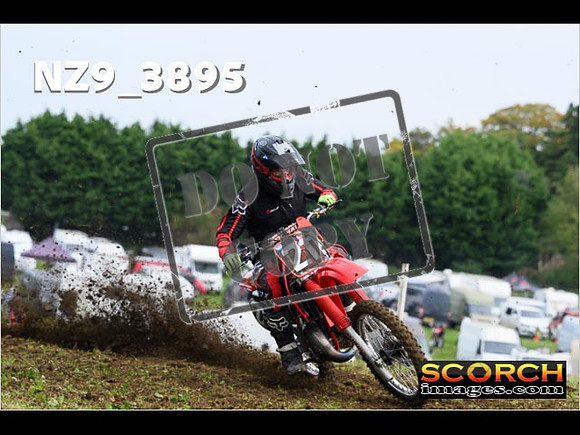 Experts-085