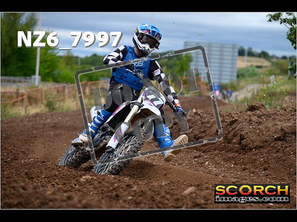 Experts-185