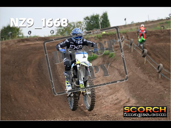 IntersGreenOrange-074