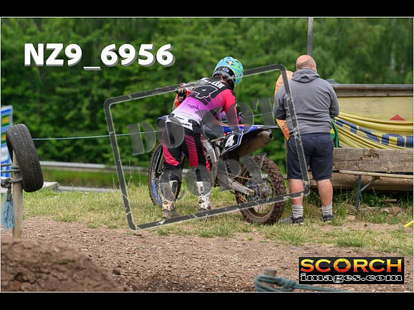 Experts-081
