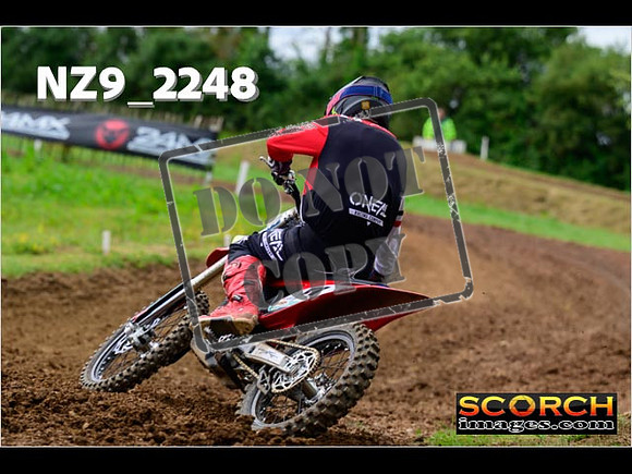 Experts-053